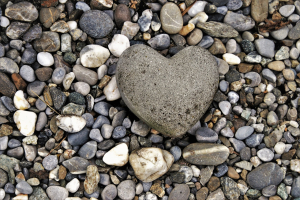 Herz